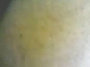 शौकिया सेक्स हिंदी म ...