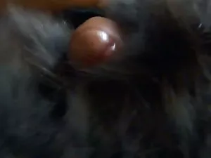 लोग कम सेक्स मूवी एच ...