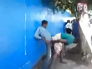 बिल्ली, व्यायामशाला, ...